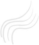 bg 2